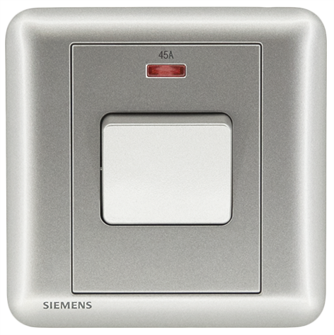 DELTA®seata - 45A 1 Gang Double Pole Switch (with Neon Indicator)