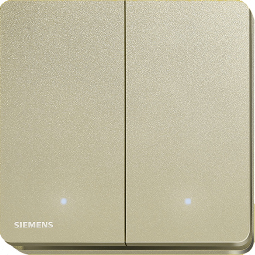 DELTA®arina - 16AX 2 Gang 1 Way Switch with LED Indicator