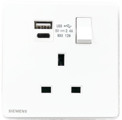 DELTA®arina - 13A 1 Gang SP Switched Socket with USB + Type C