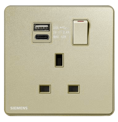 DELTA®arina - 13A 1 Gang SP Switched Socket with USB + Type C