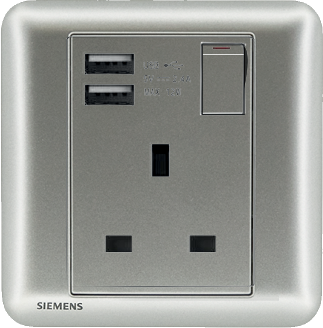 DELTA®seata - 13A 1 Gang SP Switched Socket with 2 x USB