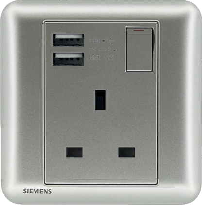 DELTA®seata - 13A 1 Gang SP Switched Socket with 2 x USB
