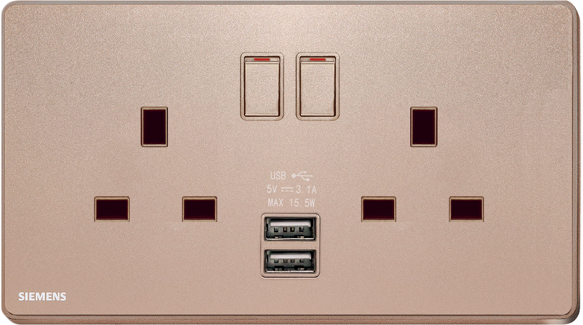 DELTA®arina - 13A Twin Gang SP Switched Socket with 2 x USB