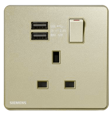DELTA®arina - 13A 1 Gang SP Switched Socket with 2 x USB