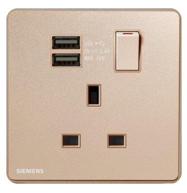 DELTA®arina - 13A 1 Gang SP Switched Socket with 2 x USB