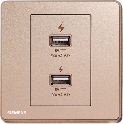 DELTA®arina - USB Sockets (3.1A 2 ports)